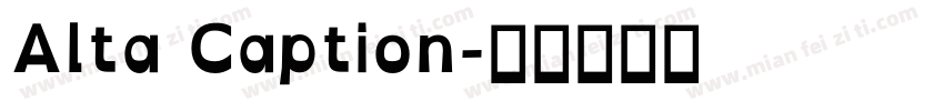 Alta Caption字体转换